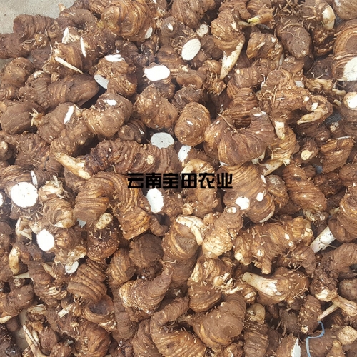 雲南寶田農業滇重樓鮮品